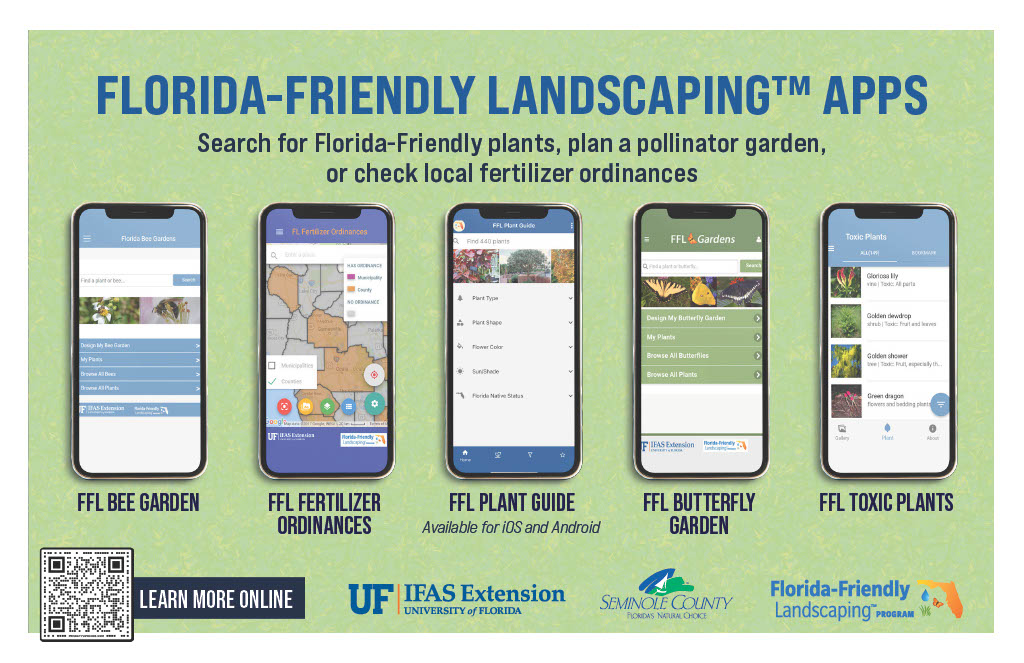 Ext-FFL-App-Promo-Flyer-1