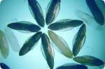 information_photo1