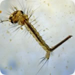 information_photo2