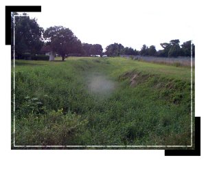 operations_canal_redbug1