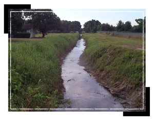 operations_canal_redbug2