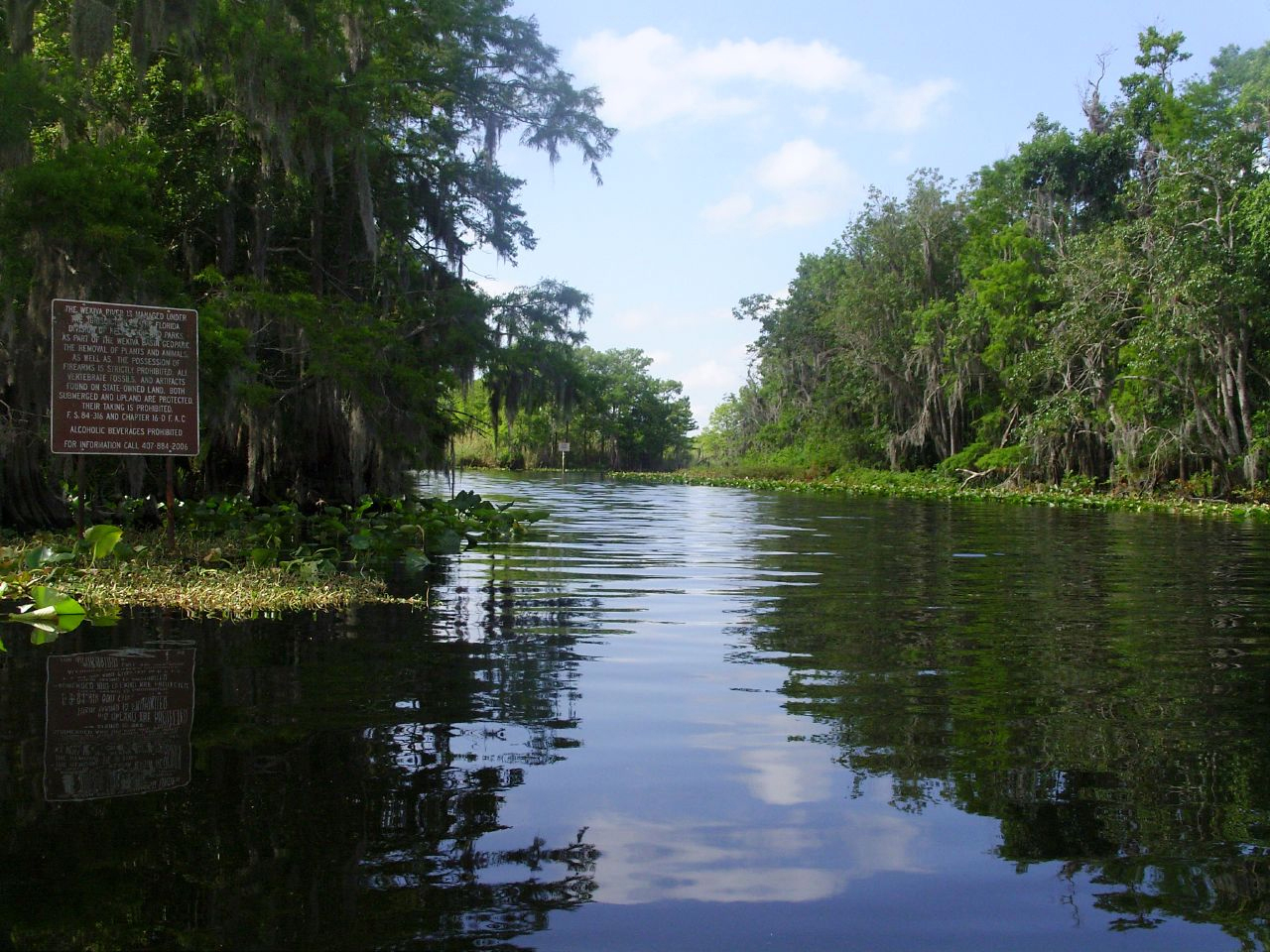 wekiva-river